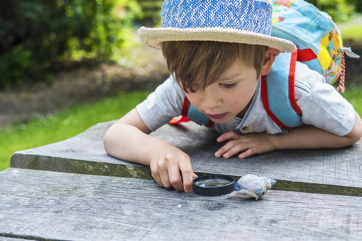Ścieżka edukacyjna w Rabce - Zdroju